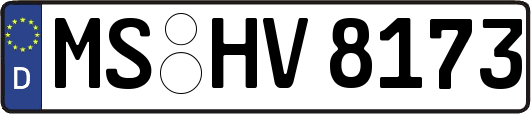 MS-HV8173