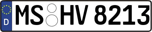 MS-HV8213