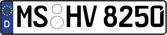 MS-HV8250