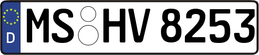 MS-HV8253