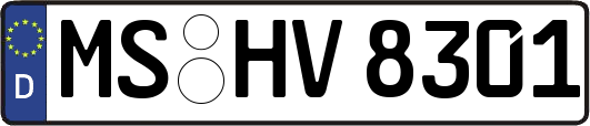 MS-HV8301