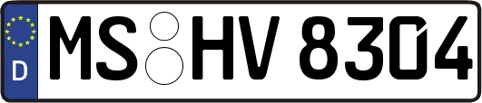 MS-HV8304