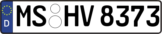 MS-HV8373