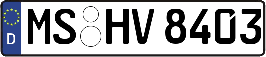 MS-HV8403