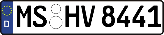 MS-HV8441