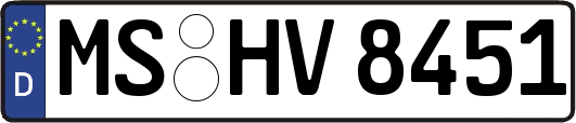 MS-HV8451