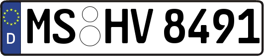 MS-HV8491