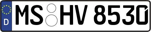 MS-HV8530