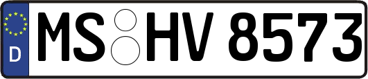 MS-HV8573