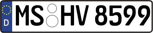 MS-HV8599