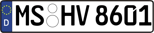 MS-HV8601