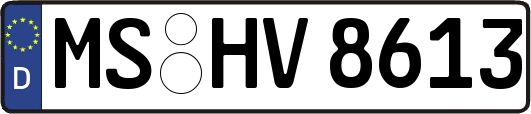 MS-HV8613