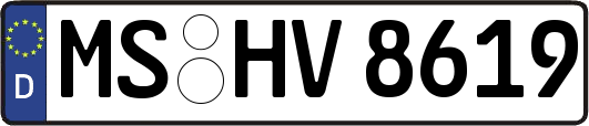 MS-HV8619