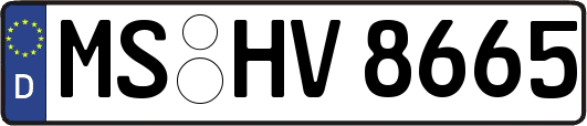 MS-HV8665