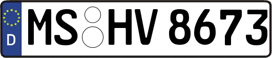 MS-HV8673