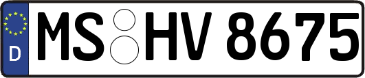 MS-HV8675
