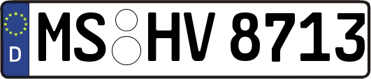 MS-HV8713