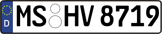 MS-HV8719