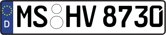 MS-HV8730