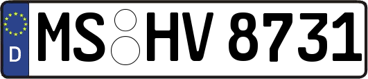 MS-HV8731