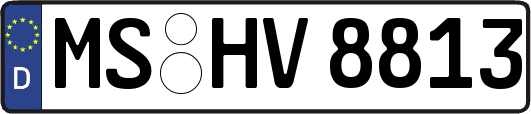 MS-HV8813