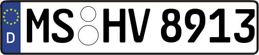 MS-HV8913