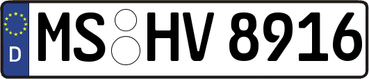 MS-HV8916