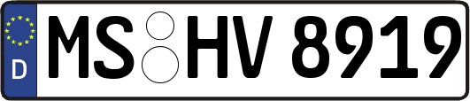 MS-HV8919