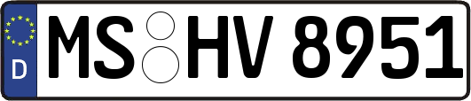 MS-HV8951
