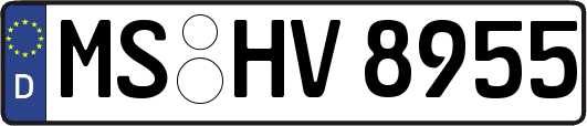 MS-HV8955