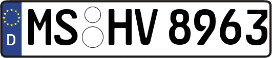 MS-HV8963