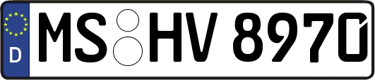 MS-HV8970