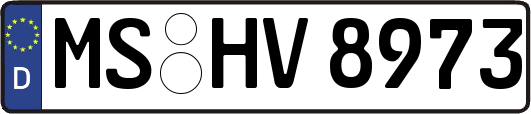 MS-HV8973