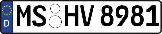 MS-HV8981