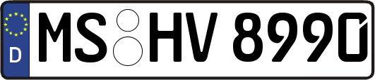MS-HV8990
