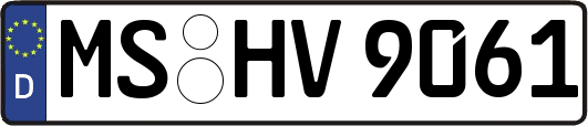 MS-HV9061
