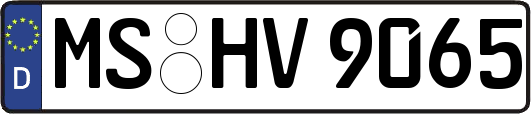 MS-HV9065