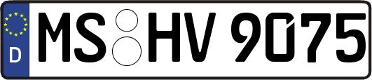MS-HV9075