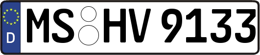 MS-HV9133