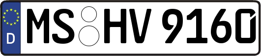 MS-HV9160
