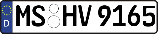 MS-HV9165