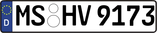 MS-HV9173
