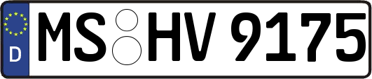 MS-HV9175
