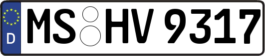 MS-HV9317