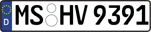 MS-HV9391