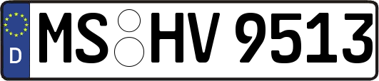 MS-HV9513