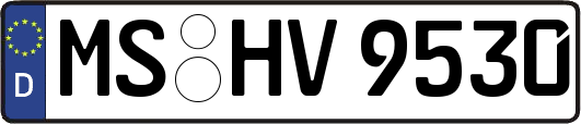 MS-HV9530