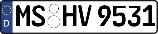 MS-HV9531