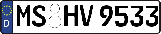 MS-HV9533