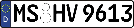 MS-HV9613